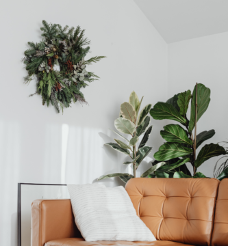 Sala de estar pequena decorada com plantas, luz solar entrando, seguindo o conceito de design biofílico